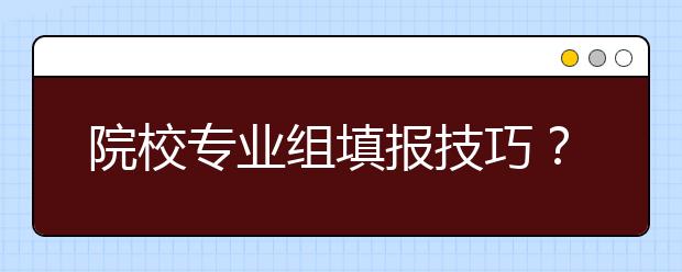 院校专业组填报技巧？