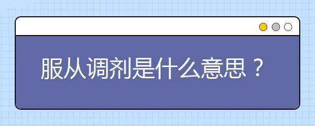 服从调剂是什么意思？