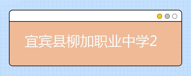 宜賓縣柳加職業(yè)中學(xué)2019年招生錄取分?jǐn)?shù)線