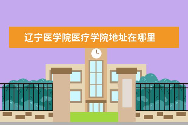 辽宁医学院医疗学院地址在哪里