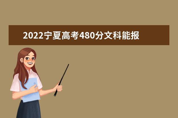 2022宁夏高考480分文科能报考哪些大学