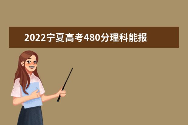 2022宁夏高考480分理科能报考哪些大学