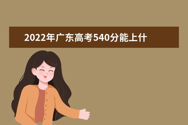 2021年广东高考540分能上什么大学？