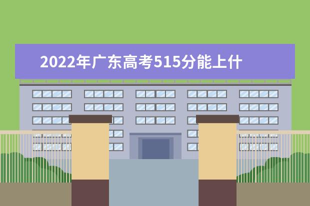 2021年广东高考515分能上什么大学？