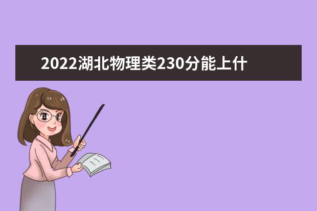 2022湖北物理类230分能上什么学校「好大学有哪些」