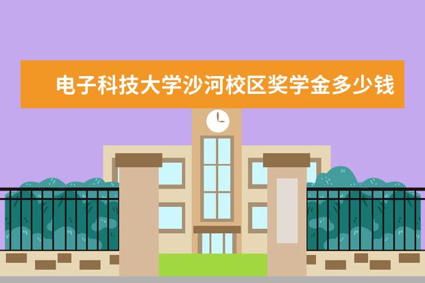 電子科技大學沙河校區(qū)獎學金多少錢  電子科技大學沙河校區(qū)獎學金設置情況