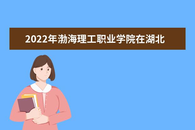 2022年渤海理工职业学院在湖北的录取分数线是多少？「附2019~2021年分数线」