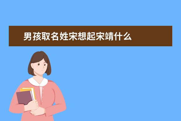 男孩取名姓宋想起宋靖什么 