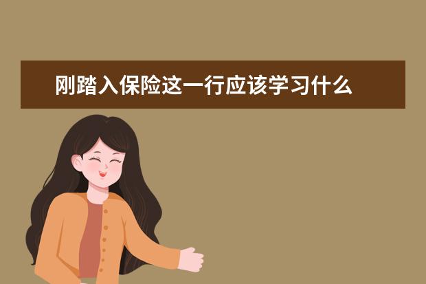 刚踏入保险这一行应该学习什么 