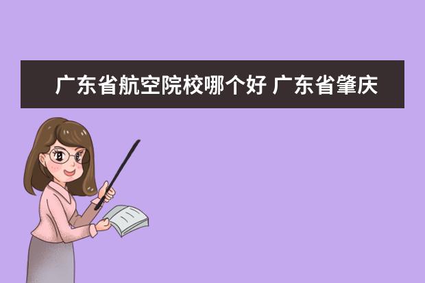 广东省航空院校哪个好 广东省肇庆高要市,航空学校叫什么,环境怎样? - 百度...