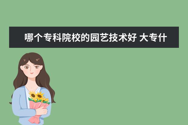 哪個?？圃盒５膱@藝技術好 大專什么技術性專業(yè)比較好