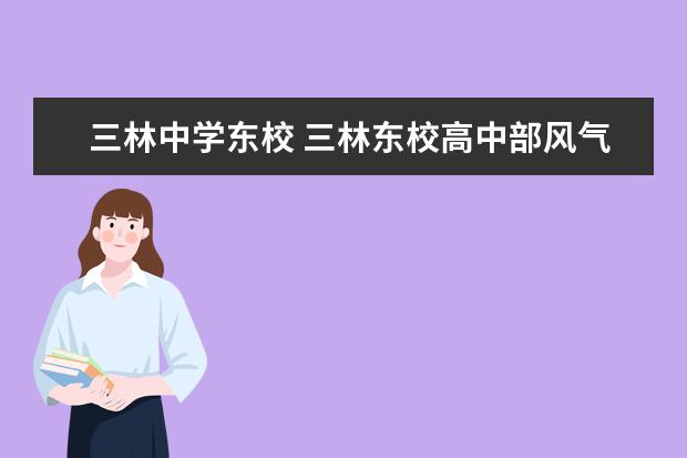 三林中学东校 三林东校高中部风气好吗