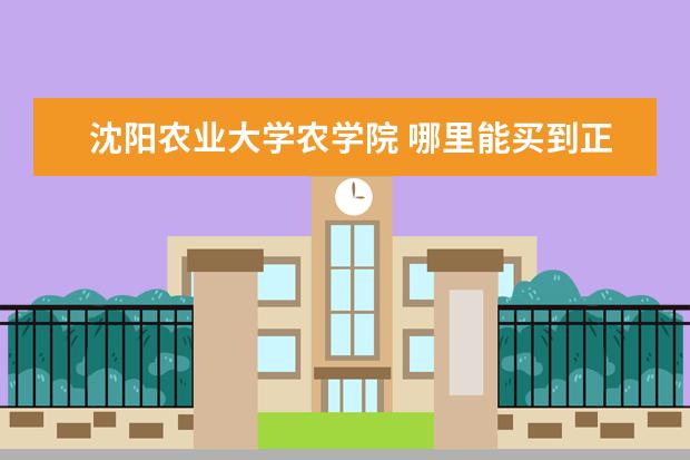 沈阳农业大学农学院 哪里能买到正宗的小麦种子沈麦112?