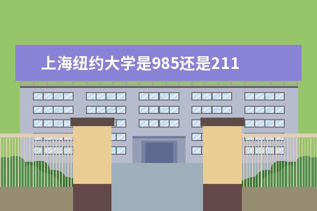 上海纽约大学是985还是211 上海纽约大学排名多少