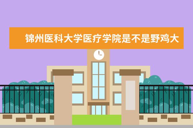 锦州医科大学医疗学院是不是野鸡大学 锦州医科大学医疗学院是几本