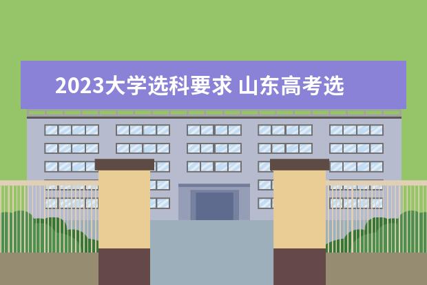 2023大学选科要求 山东高考选科要求 2023