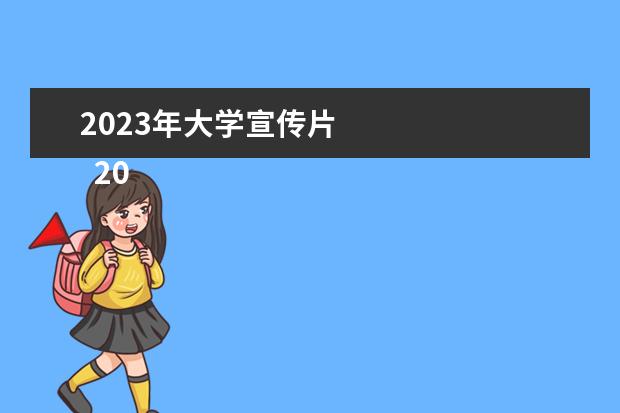 2023年大學(xué)宣傳片 
  2023年網(wǎng)站我工作計(jì)劃范文 篇6