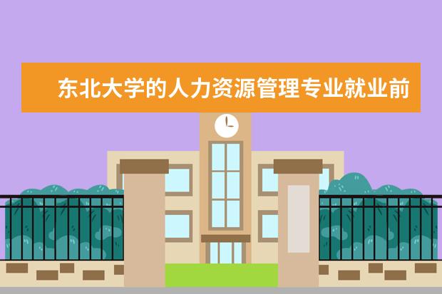 东北大学的人力资源管理专业就业前景 专业管理的优势?