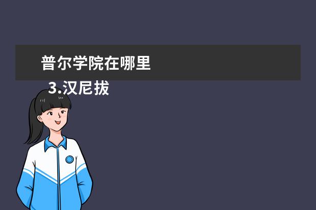 普尔学院在哪里    3.汉尼拔在哪里能看