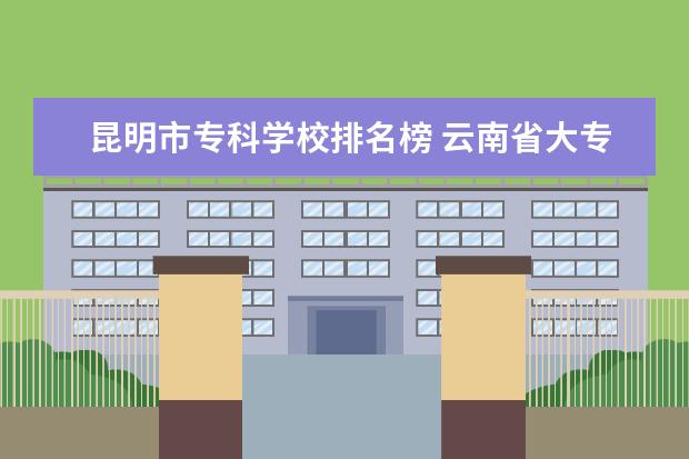 昆明市专科学校排名榜 云南省大专院校排行榜