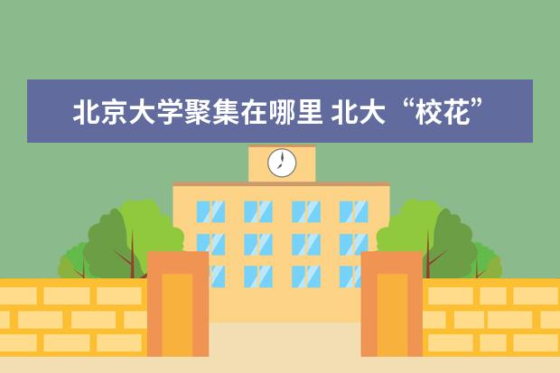 北京大学聚集在哪里 北大“校花”王延轶,嫁导师后如今在哪里?