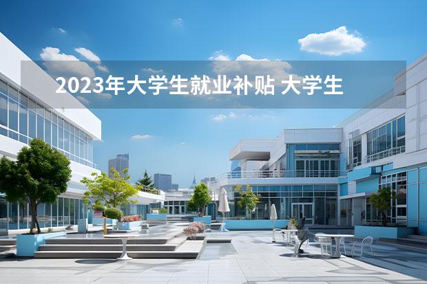 2023年大学生就业补贴 大学生补贴政策2023