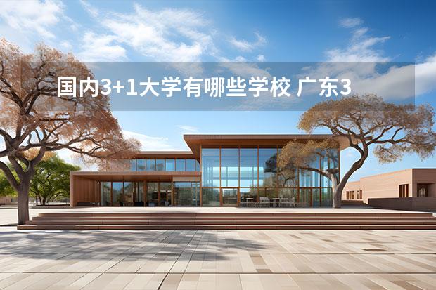 國(guó)內(nèi)3+1大學(xué)有哪些學(xué)校 廣東3+1本科有哪些學(xué)校