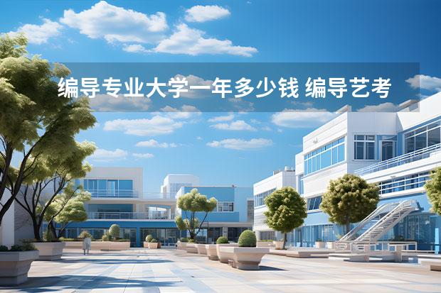 编导专业大学一年多少钱 编导艺考需要花费多少钱