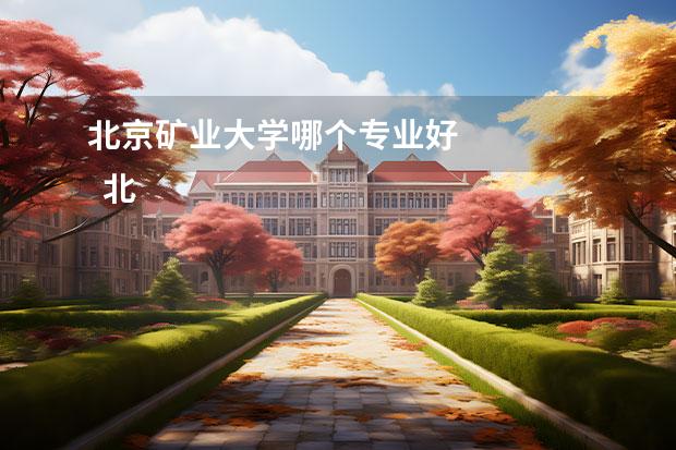 北京矿业大学哪个专业好 
  北京矿业大学是211吗