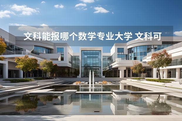 文科能报哪个数学专业大学 文科可以报数学专业吗