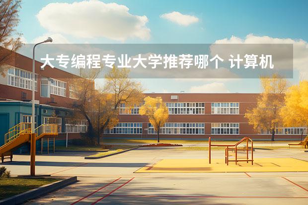 大专编程专业大学推荐哪个 计算机专科院校推荐