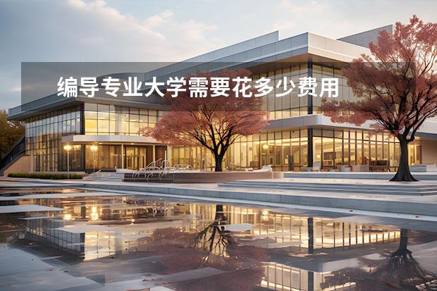 编导专业大学需要花多少费用 
  编导艺考培训多少钱？