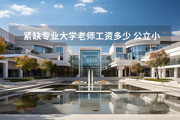 紧缺专业大学老师工资多少 公立小学老师每月拿到手的工资有多少