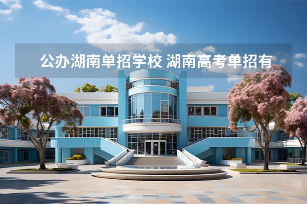 公办湖南单招学校 湖南高考单招有哪些学校