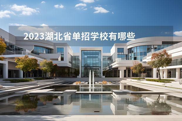 2023湖北省单招学校有哪些