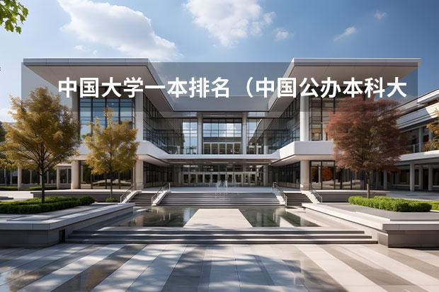 中国大学一本排名（中国公办本科大学排名）