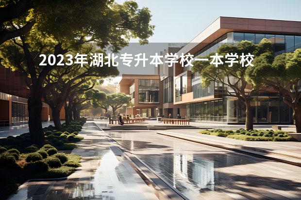 2023年湖北专升本学校一本学校有哪些啊？