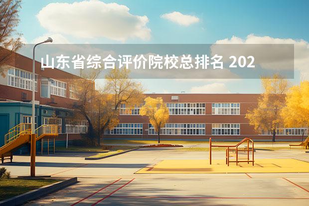 山东省综合评价院校总排名 2023年山东综合评价招生学校有哪些?