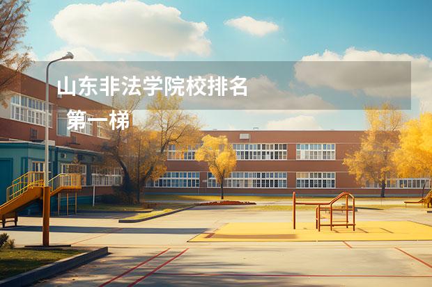 山东非法学院校排名 
  第一梯队
  <br/>