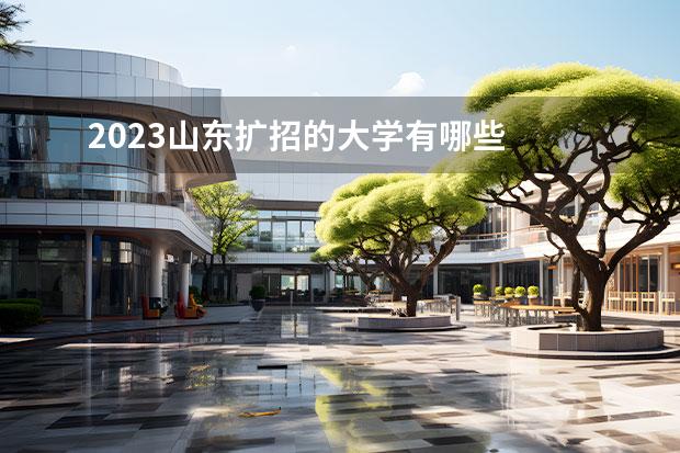 2023山東擴(kuò)招的大學(xué)有哪些