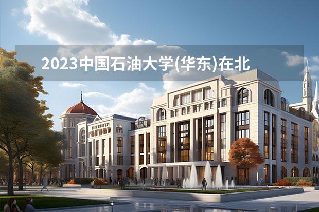 2023中國石油大學(華東)在北京高考專業(yè)招生計劃人數(shù)一覽