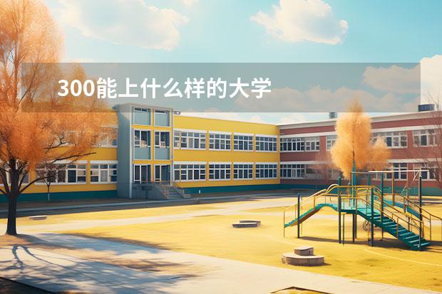 300能上什么样的大学