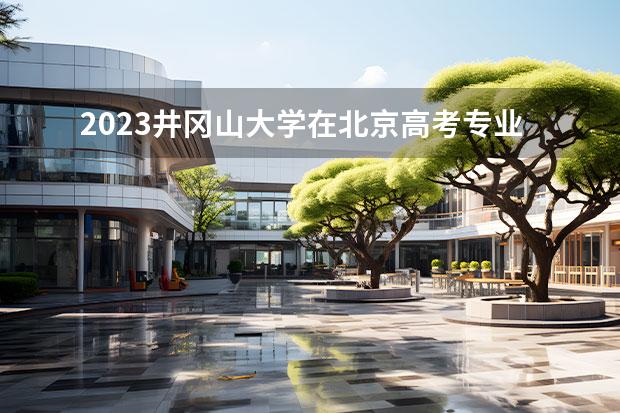 2023井冈山大学在北京高考专业招生计划人数一览