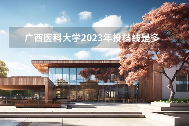 广西医科大学2023年投档线是多少