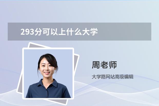 293分可以上什么大学